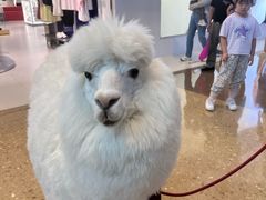 -壹海城ONE MALL