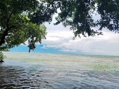 -大理洱海