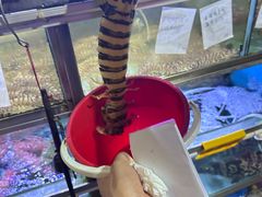 -富来美食(成发大厦店)