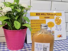 冻鸳鸯-赏饮·WILL TEA