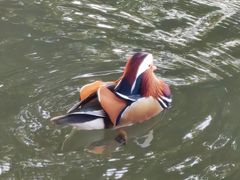 -外婆烧.老杭帮菜(庆春店)