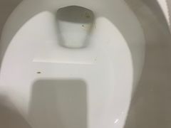 -温州龙湾国际机场温德姆酒店