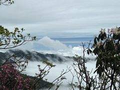 -梵净山旅游区