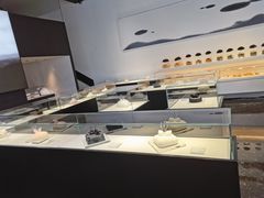 -BLACKSWAN黑天鹅(环球店)