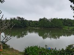 -沙美村