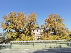 -北京石刻艺术博物馆(五塔寺)