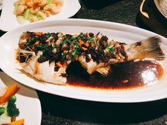 -老广酒楼(樱花店)
