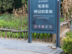 -延安杨家岭革命旧址