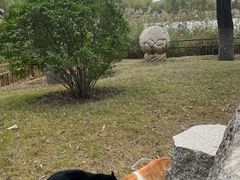 -燕郊植物园