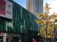 -Apple零售店(中街大悦城店)