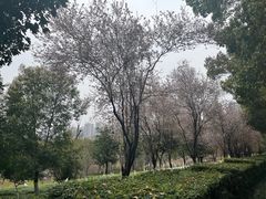 -沐仙湖湿地公园