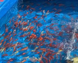 -萌宠亲子动物乐园(槐房万达店)