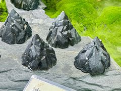 -罗莎蛋糕Rosa bread(四方坪店)