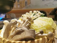 -鱼四季(五彩世界店)