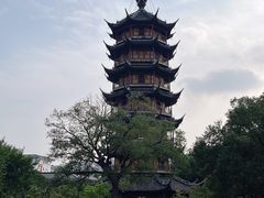 -红梅公园