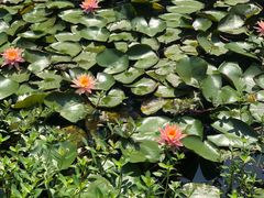 -艾溪湖湿地公园