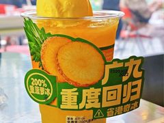 重菠萝冰-广九餐室(陈家祠扬韬广场店)