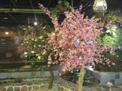 -花甲大咖(曼哈顿店)