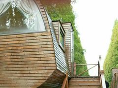 -黄海国家森林公园