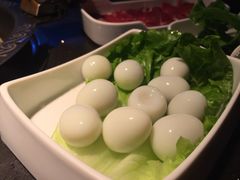 -锅说大脸毛肚重庆老火锅(佐阾店)