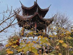 -武汉园博园(武汉自然博物馆)