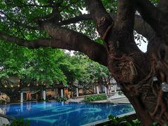 -喜洲吧·江畔老船厂·庭院餐厅(喜临院店)