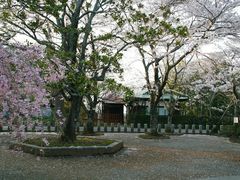 -成田山新胜寺