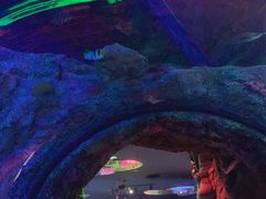 -沈阳海洋探索中心