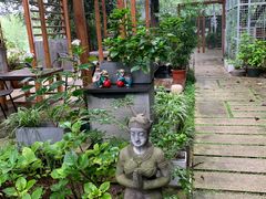 -谷咖啡·鲜花绿植花园餐厅
