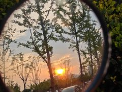 -天鹅湖体育公园