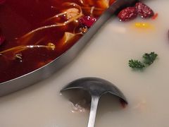 -麻田会 ·鲜活现烹·牛蛙火锅(珠江新城维家思广场店)