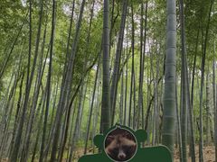 -上海佘山国家森林公园天马山园