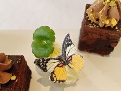 -蝶舍·MAISON PAPILLON