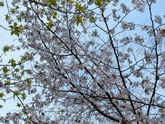 -黑龙江省森林植物园