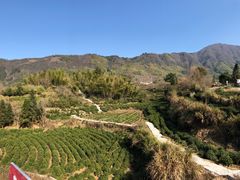 -徽州美食(三十年老店)