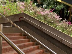 -香港大学