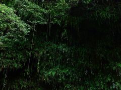 -海口火山口国家地质公园