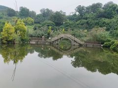 -张坝桂圆林公园
