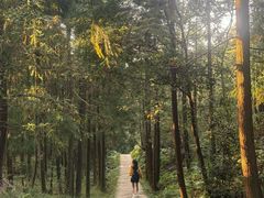-大罗山风景区