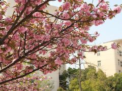 -南京航空航天大学(明故宫校区)