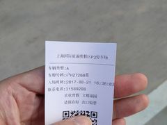 -迪士尼乐园停车场