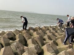 -天津妈祖文化园