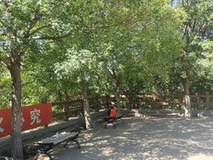 -小脚丫幼儿园(西二旗东一路校区)