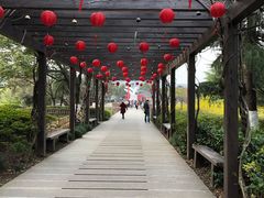 -白马涧龙池景区