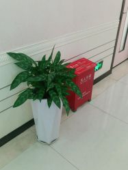 -深圳阳光医疗美容医院·旗舰店
