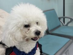-嘉馨宠物医院·CT影像转诊·心脏科·犬猫全科诊疗中心(下沙大学城院区)