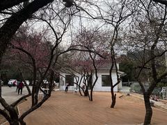 -青龙山国家森林公园