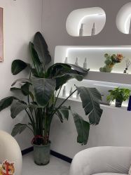 -Dr.Jane皮肤管理中心