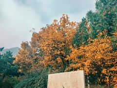 -北京鹫峰国家森林公园