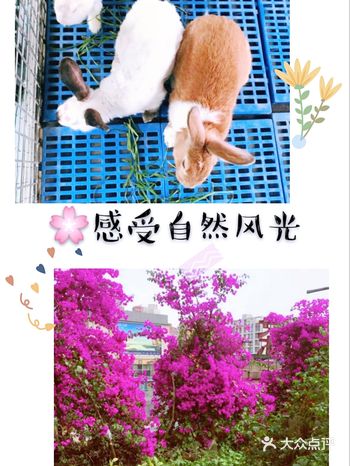 六一必去丨带宝宝感受自然风光
